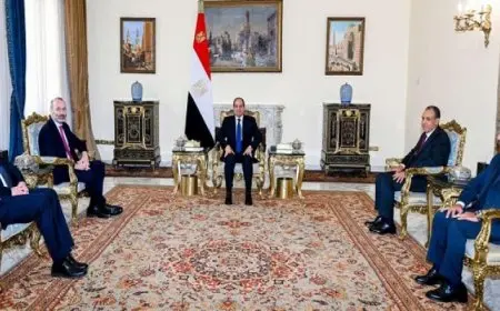 الرئيس السيسي يؤكد ضرورة تضافر الجهود للدفع بقوة في اتجاه التهدئة ووقف إطلاق النار بغزة ولبنان