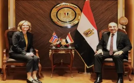 وزير قطاع الأعمال وسفيرة النرويج يبحثان مستجدات مشروع المحطة الشمسية لمجمع الألومنيوم بنجع حمادي