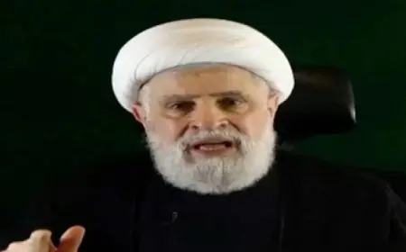 جماعة حزب الله اللبنانية تعين نعيم قاسم أمينا عاما لها