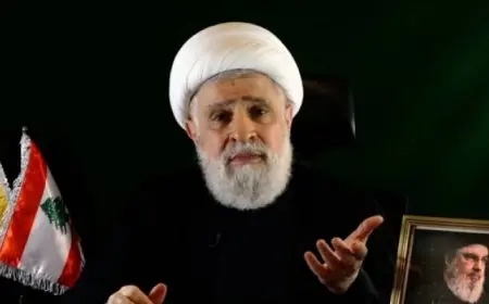 جالانت: نعيم قاسم لن يبقى طويلاً في منصبه الجديد