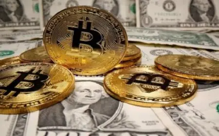 العملات المشفرة تواصل الارتفاع وسط احتمالات فوز “ترامب” بولاية ثانية