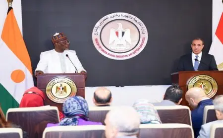 خلال مؤتمر صحفي مع نظيره النيجري.. وزير الخارجية يؤكد حرص مصر على دعم النيجر في مواجهة الإرهاب