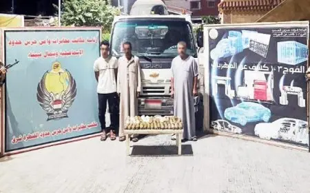 قوات حرس الحدود تكثف جهودها خلال الفترة الماضية على كافة الاتجاهات الإستراتيجية للدولة