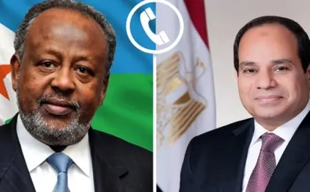 الرئيس السيسي يبحث هاتفيا مع نظيره الجيبوتي تطورات عدد من القضايا بالقارة الأفريقية