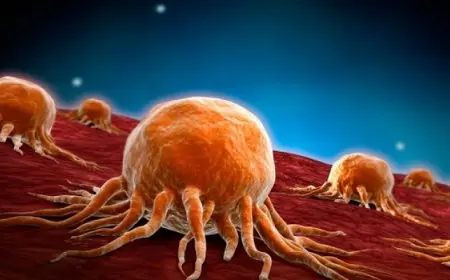 علاج ثوري للسرطان قد يحمل الأمل في إطالة عمر المرضى