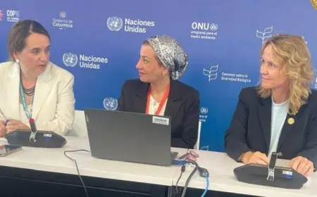 وزيرة البيئة: مصر من أوائل الدول المطبقة للحلول القائمة على الطبيعة في 7 محافظات