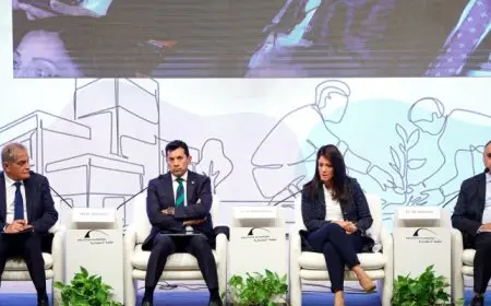 المشاط: استدامة المدن إحدى الركائز الرئيسية لتحقيق التنمية الاقتصادية الشاملة