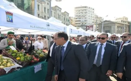 رئيس الوزراء يتفقد سوق اليوم الواحد بمحطة الرمل بالإسكندرية