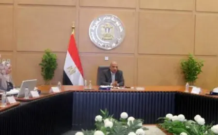 وزير الكهرباء: مستمرون فى خطة خفض الفقد ومنع سرقة التيار وتحسين الاداء