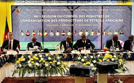 مصر تشارك في اجتماع وزراء منظمة الدول الإفريقية المنتجة للبترول (APPO) بالكاميرون