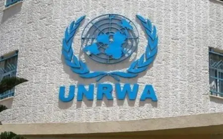 برنامج الغذاء العالمي: لا بديل للأونروا في غزة