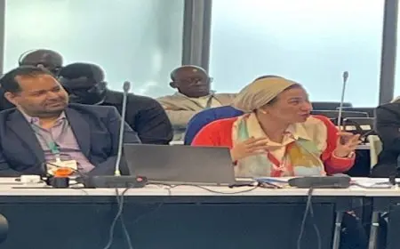 وزيرة البيئة تجتمع مع المجموعة الأفريقية لمناقشة توحيد الرؤى للخروج بقرارات منصفة للقارة من مؤتمر الأطراف للتنوع البيولوجي