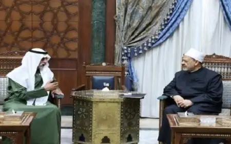 شيخ الأزهر يشيد بجهود وزارة التسامح الإماراتية في تعزيز ثقافة الإنسانية عالميا