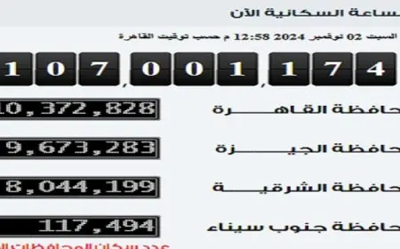 التعبئة و الاحصاء : وصول عدد سكان مصر بالداخل إلى 107 ملايين نسمة