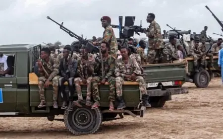 الجيش الصومالي: مقتل 27 إرهابيا في عملية عسكرية بمحافظة شبيلى الوسطى