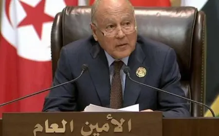 أبو الغيط : لا بديل عن الأونروا وعلى الأمم المتحدة أن تحمي منظماتها