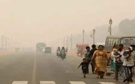 الهند تفرض غرامات على المركبات ومواقع البناء بعد تصنيف نيودلهي بالأكثر تلوثا في العالم