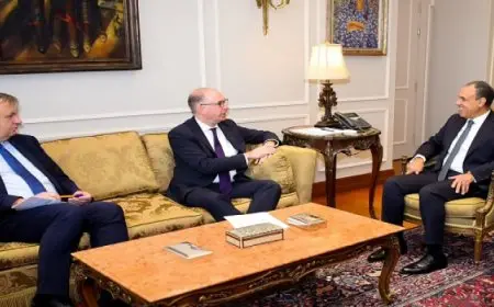 وزير الخارجية يستقبل وزير الدولة الألماني للتعاون الاقتصادي والتنمية