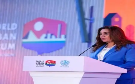 وزيرة التنمية المحلية : الدولة المصرية حريصة على دعم جهود التنمية المستدامة وتحقيق الأهداف الأممية