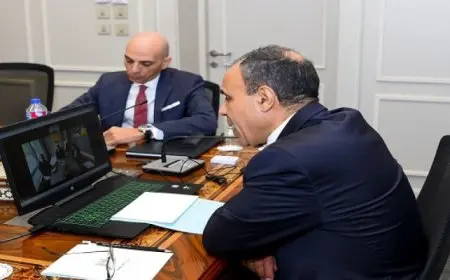 وزير الخارجية والهجرة يعقد لقاءً افتراضيًا مع رئيس المنتدى الاقتصادي العالمي