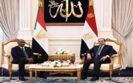 الرئيس السيسي يؤكد استمرار الدعم المصري للسودان الشقيق على كافة المستويات