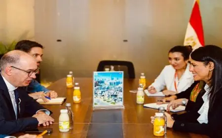 المشاط تبحث مع نظيرها الألماني أوجه التعاون المشترك بين البلدين