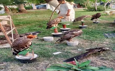 البيئة تنجح في إنقاذ 20 حيوانا مهددا بالانقراض بالتعاون مع شرطة البيئة والمسطحات