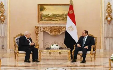 الرئيس السيسى لـ”أبو مازن”: نرفض كافة أشكال التصعيد الإسرائيلي ضد الفلسطينيين