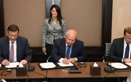 توقيع وثيقة مشروع القطن المصري (المرحلة الثانية) بين وزارتي الصناعة والزراعة ومنظمة اليونيدو