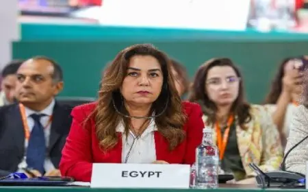 “التنمية المحلية”: مصر تولي اهتماماً كبيراً بعملية التوطين لأهداف التنمية المستدامة