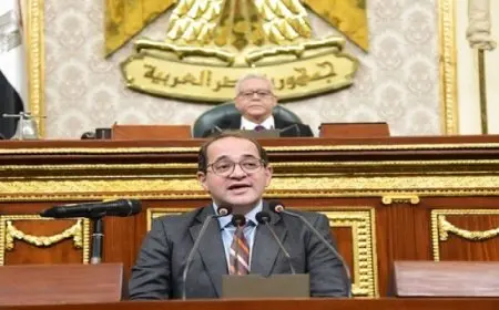 وزير المالية : حزمة التسهيلات الضريبية بداية للشراكة مع مجتمع الأعمال لدعم الاستثمار