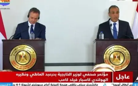 وزير الخارجية: توافق بين مصر وهولندا لدفع وتطوير العلاقات الثنائية في مختلف المجالات