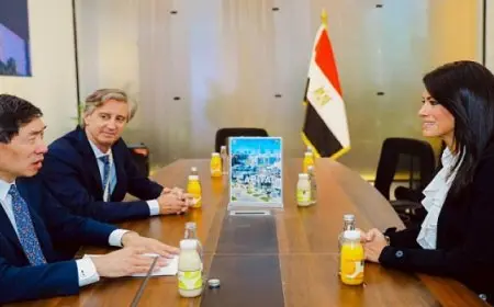 المشاط: الاستراتيجية الوطنية المتكاملة للتمويل تُمثل محورًا رئيسيًا من محاور الشراكة مع برنامج الأمم المتحدة الإنمائي