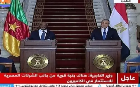 وزير الخارجية: العلاقات مع الكاميرون قوية وأخوية وتاريخية