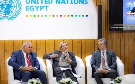 وزيرة البيئة: مصر قدمت من خلال تطبيق الحلول القائمة على الطبيعة نموذجا حقيقيا لربط مسار اتفاقيات ريو الثلاث