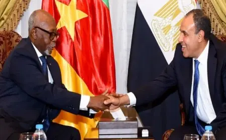 وزير الخارجية يؤكد استمرار جهود مصر لوقف العدوان الإسرائيلي على المدنيين بقطاع غزة والضفة الغربية