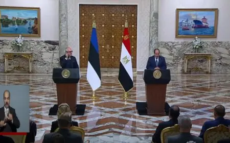 السيسي : توافق الرؤي مع إستونيا على أهمية تكثيف العمل المشترك لتعزيز العلاقات الثنائية