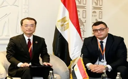 وزير الاسكان يبحث تعزيز التعاون مع الوكالة اليابانية للتعاون الدولي “الجايكا” خاصة فى مشروعات “حياة كريمة”