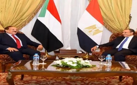 وزير الخارجية والهجرة يستقبل وزير خارجية السودان الجديد