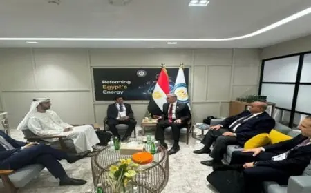 وزير البترول يلتقى مع رئيس شركة دانة غاز