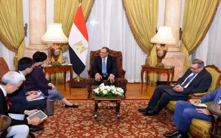 خلال لقائه مع محافظة طوكيو.. وزير الخارجية يشيد بالعلاقات المتميزة بين مصر واليابان
