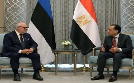 رئيس الوزراء يستقبل رئيس جمهورية إستونيا