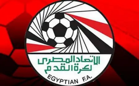 اتحاد كرة القدم يقرر رسميا إقالة لجنة الحكام