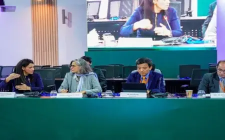 خلال جلسة للمنتدى الحضري.. المشاط تؤكد ضرورة إنشاء بنية مالية فعالة والتكامل بين الاستثمارات العامة والتمويل الدولي لتعظيم الأثر التنموي