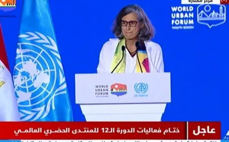 الأمم المتحدة: المنتدى الحضري بالقاهرة يضع أسسا جديدة للتنمية الحضرية بمشاركة غير مسبوقة