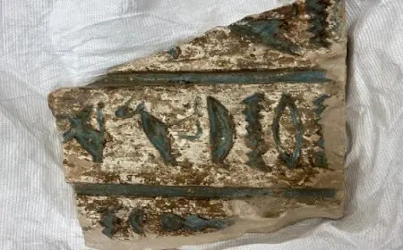 بال .. مصر تسترد 67 قطعة أثرية من ألمانيا