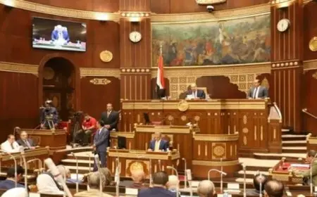 مجلس الشيوخ يناقش اليوم 4 طلبات موجهة لوزير العمل