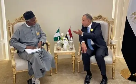 وزير الخارجية والهجرة يلتقي نظيره النيجيري على هامش الاجتماع الوزاري التحضيري للقمة العربية الإسلامية بالرياض