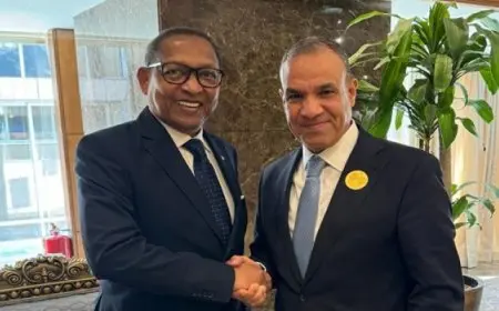 وزير الخارجية يعقد سلسلة من اللقاءات مع عدد من وزراء الخارجية العرب والأفارقة بالرياض