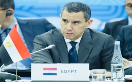 الممثل الشخصي للرئيس السيسي يرأس وفد مصر للإعداد لقمة العشرين في البرازيل